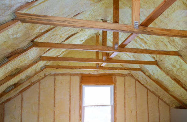 Insulation Replacement Services in Selmont West Selmont, AL